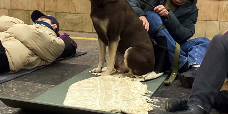 Las imágenes siguen reflejando el pánico en el segundo día de la invasión a Ucrania