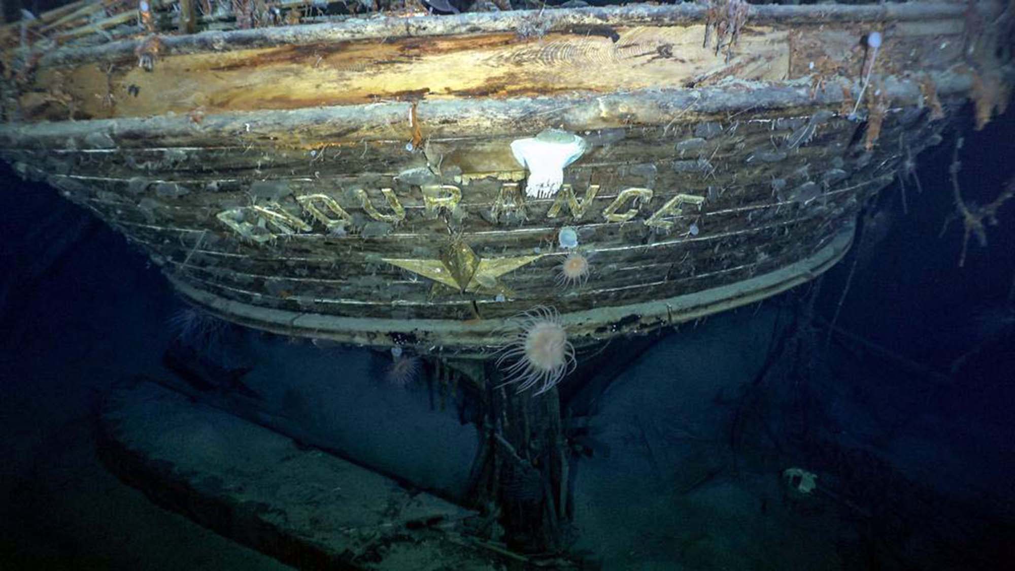Luego de 107 años, hallan en la Antártida el mítico barco del explorador Shackleton Luego de 107 años, hallan en la Antártida el mítico barco del explorador Shackleton