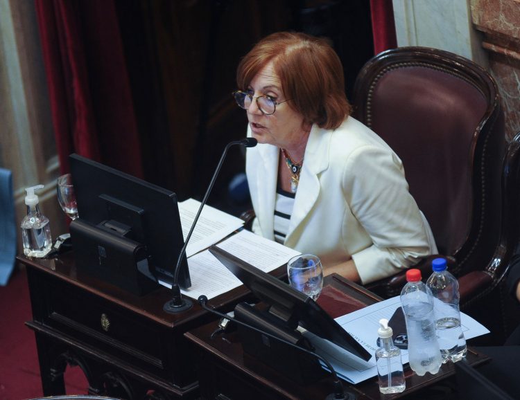 Vigo presentó un proyecto para el boleto federal