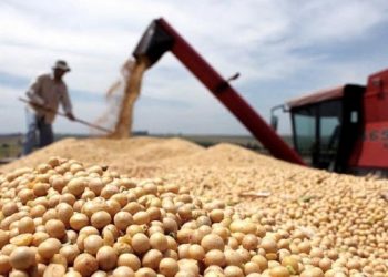 Por la situación de guerra, España y Francia proponen comprar cereales a Argentina