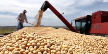Por la situación de guerra, España y Francia proponen comprar cereales a Argentina