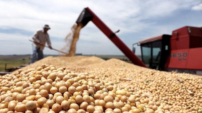 Por la situación de guerra, España y Francia proponen comprar cereales a Argentina