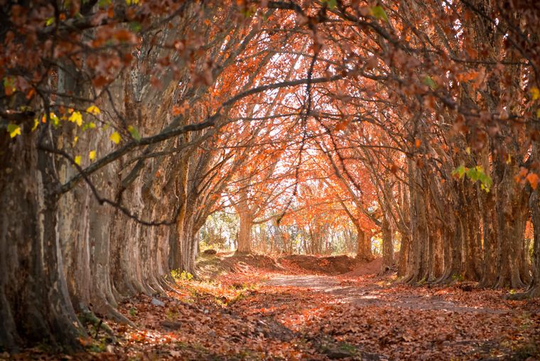 Cinco pueblitos cordobeses para disfrutar de las tonalidades y paisajes del otoño