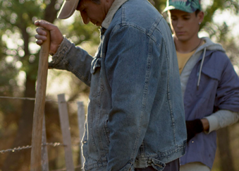 El arte en cinco expresiones simultáneas