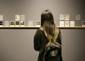 Obras que harán despertar emociones