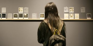 Obras que harán despertar emociones