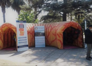 Instalarán un “colon gigante” en el Paseo del Buen Pastor