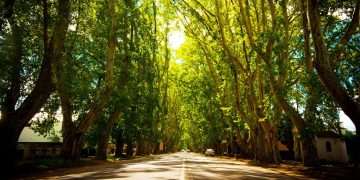 Colonia Caroya está de festejo