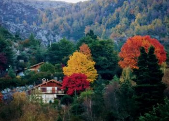 Cinco pueblitos cordobeses para disfrutar de las tonalidades y paisajes del otoño