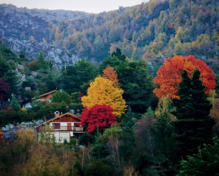 Cinco pueblitos cordobeses para disfrutar de las tonalidades y paisajes del otoño