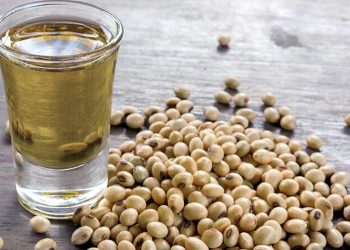 La Cámara de Exportadores rechazó la suspensión de venta de aceite y harina de soja y tildó al Gobierno de contradictorio