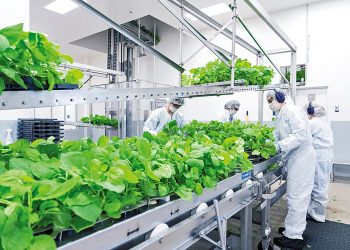 La vacuna vegetal contra la Covid que se elabora en Córdoba fue finalmente aprobada