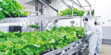 La vacuna vegetal contra la Covid que se elabora en Córdoba fue finalmente aprobada