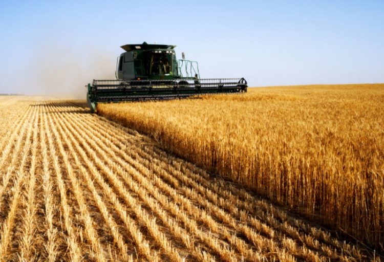 Contundente rechazo de la Bolsa de Cereal y las cadenas de valor agroindustrial a la suba de las retenciones