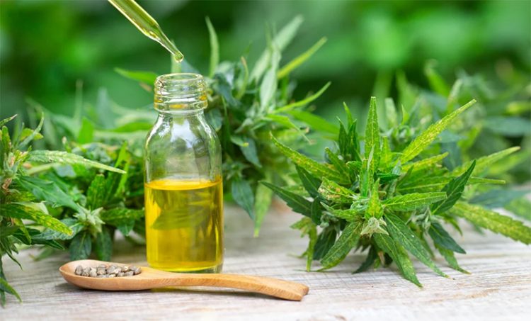 Anmat deberá autorizar la importación de aceite de cannabis para una niña con discapacidad