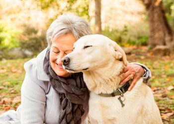 Demuestran que los animales domésticos reducen el deterioro cognitivo de los ancianos