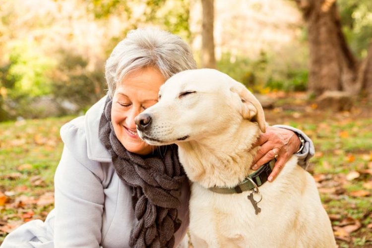 Demuestran que los animales domésticos reducen el deterioro cognitivo de los ancianos