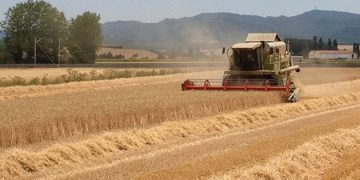 El campo rechaza los anuncios y se prepara a ofrecer resistencia