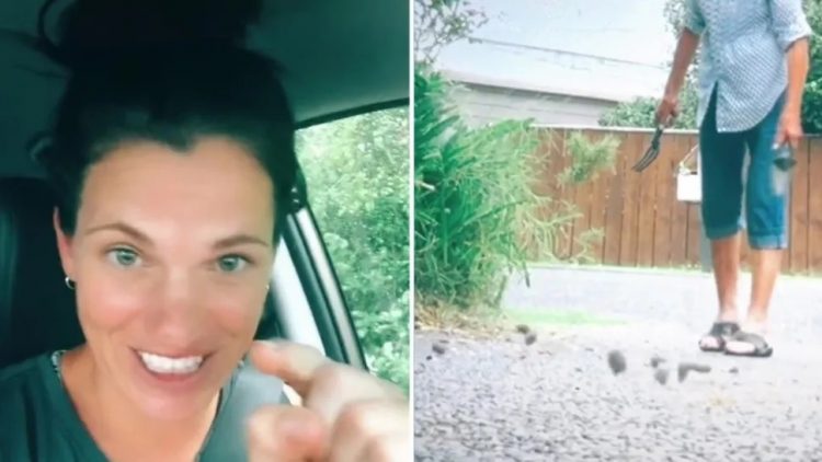 Atrapó a su vecina tirando la caca del perro en su patio y ejecutó una asquerosa venganza