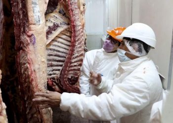 Frigoríficos exportadores seguirán en el programa Cortes Cuidados