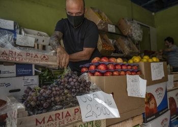 Advierten por una desmesura en los precios de frutas y verduras