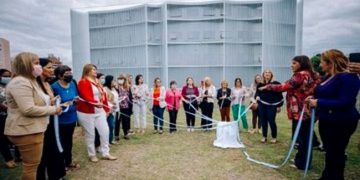 Legisladoras plantaron lapachos rosas