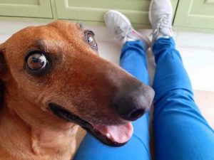 La increíble dedicatoria de una chica en su tesis que se volvió viral La increíble dedicatoria de una chica en su tesis que se volvió viral