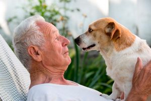 Demuestran que los animales domésticos reducen el deterioro cognitivo de los ancianos