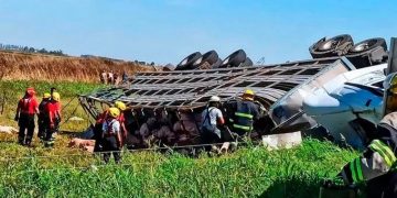 Robo de cerdos en Marcos Juárez: hay 30 identificados