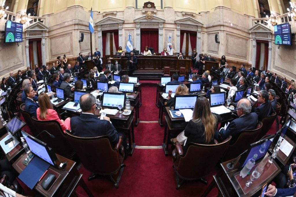El Senado convirtió en ley el acuerdo con el Fondo Monetario Internacional