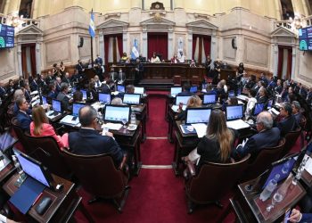 El Senado convirtió en ley el acuerdo con el Fondo Monetario Internacional