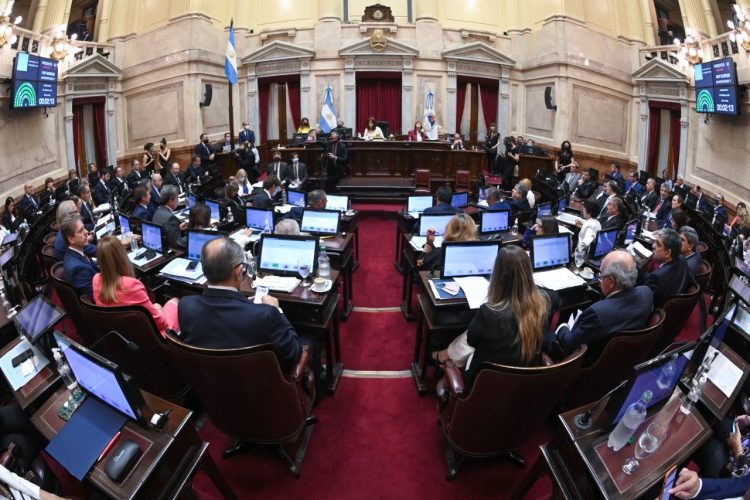 El Senado convirtió en ley el acuerdo con el Fondo Monetario Internacional