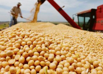 Nuevo aumento de retenciones: la Mesa de Enlace advirtió subas en la soja