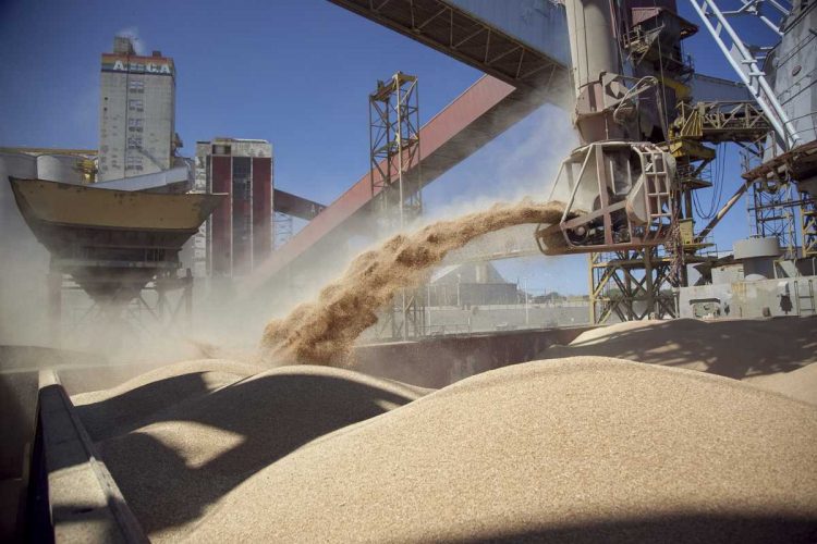 La Afip desbarató una maniobra de evasión con 1.600 toneladas de granos no declarados en Córdoba