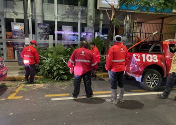 Los fuertes vientos causaron varios destrozos en Córdoba