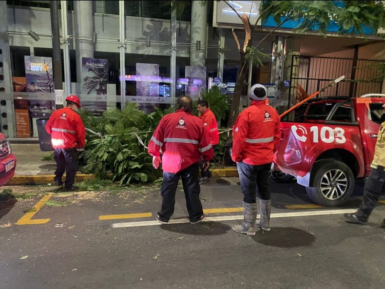 Los fuertes vientos causaron varios destrozos en Córdoba