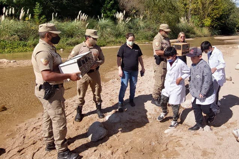 Liberaron en Nono a 17 aves silvestres que fueron salvadas de un cautiverio