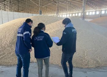 Desarticulan maniobras de 60 agroexportadoras «truchas»