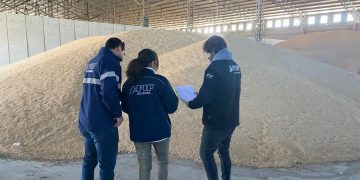 Desarticulan maniobras de 60 agroexportadoras «truchas»