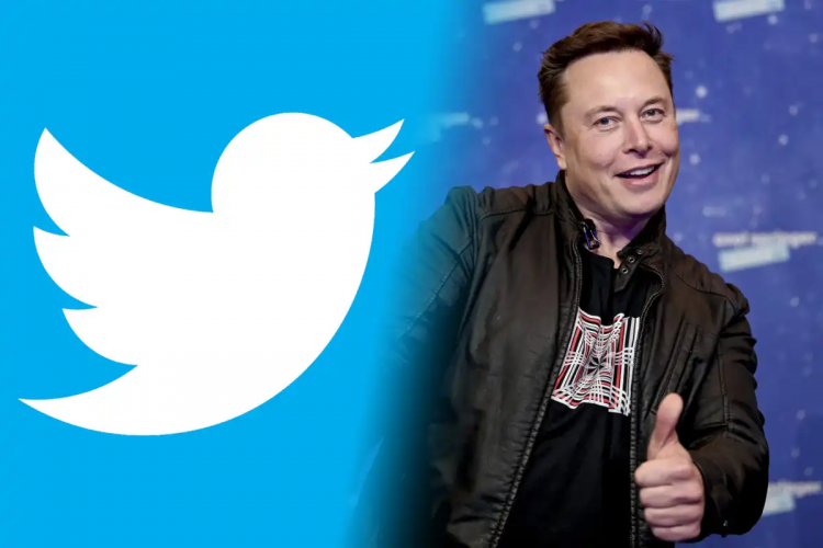 Elon Musk compró el 9,2% de Twitter y ahora es el mayor accionista de la empresa