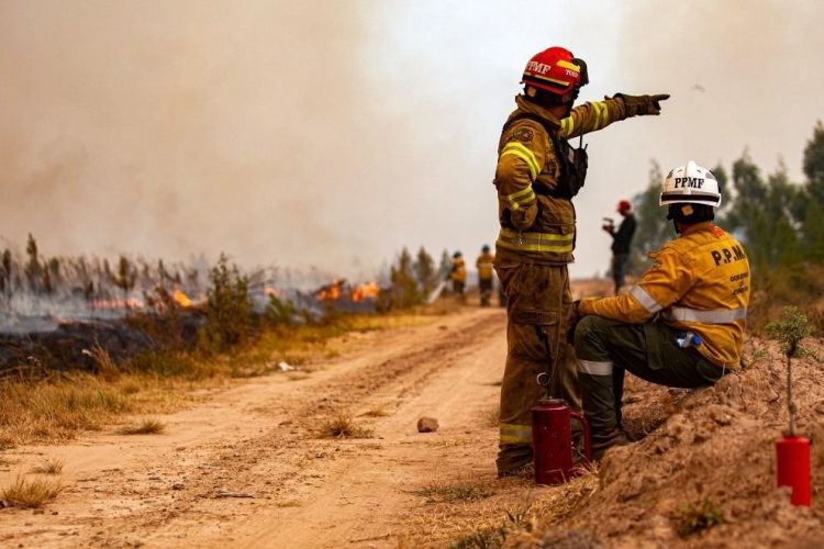 Tras la llegada de la estación seca, Córdoba activa la lucha contra incendios forestales