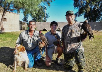La cetrería también se practica en Córdoba