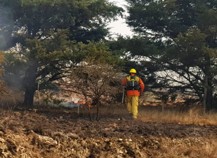 Bomberos logran contener con éxito los incendios forestales en Minas y Valle de Punilla