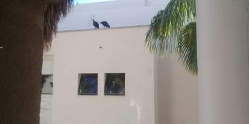 ¿Una señal de la Corte?