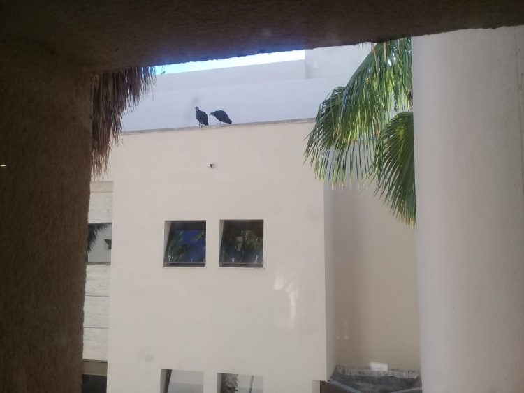 ¿Una señal de la Corte? ¿Una señal de la Corte?