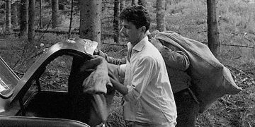 El Cineclub La Quimera proyectará hoy el filme «El chico del árbol»