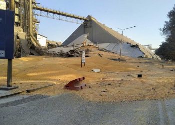 Registran subas significativas en los precios internacionales de los alimentos