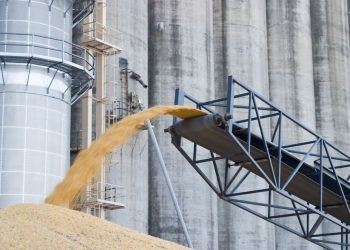 El Gobierno aplicó multas millonarias para molineras que acordaron precios