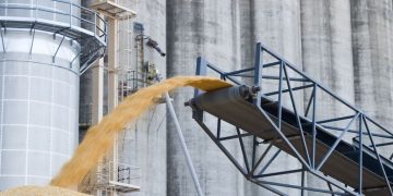 El Gobierno aplicó multas millonarias para molineras que acordaron precios