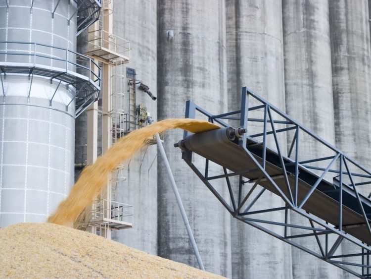 El Gobierno aplicó multas millonarias para molineras que acordaron precios
